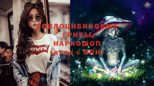 стаф Верхний Тагил