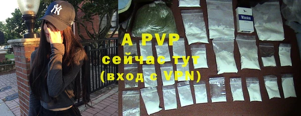 стаф Верхний Тагил